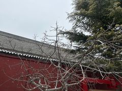 -西安市广仁寺