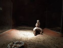 -酷嗒动物文化乐园(cutezoo西溪乐天城店)