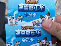 -沈阳奥体冰雪嘉年华