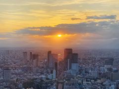 -六本木新城展望台(东京城市景观)