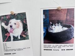 -经福元·推拿·艾灸(广兰路店)