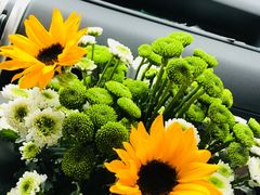 -沪花拾者(好再来花卉鲜花店)