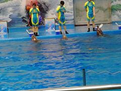 -多彩贵州城极地海洋世界