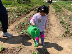 -前小桔亲子创意农场·草莓采摘·露营烧烤