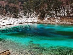 -乡土特色.冷锅鱼.牦牛肉汤锅