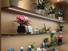 -泉·颂钵冥想·减压·疗愈SPA(前海店)