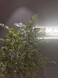 -花隐·美芙炫海菲秀皮肤管理中心