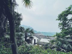 -青城山