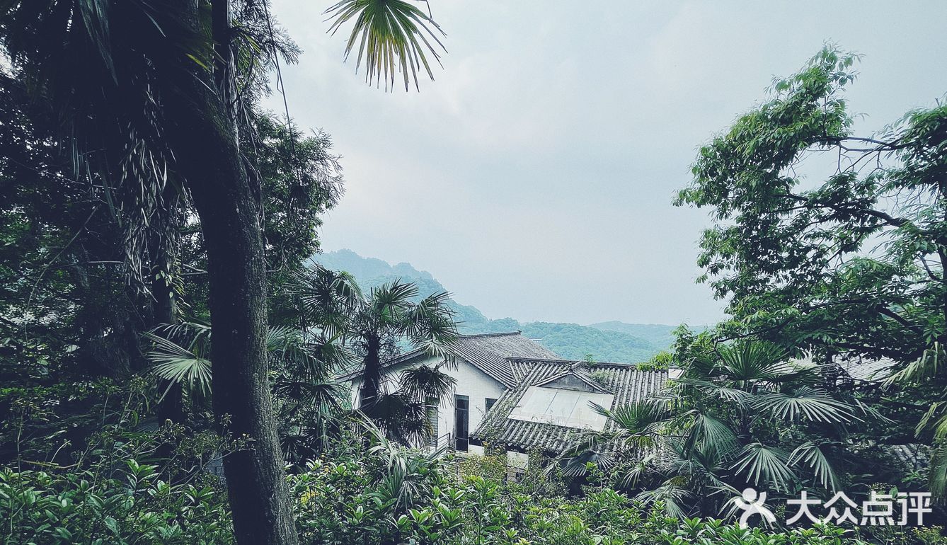 青城山的绝美酒店