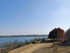 -江滩湿地公园