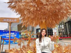 -万科生活广场(东莞松山湖店)