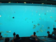 -瑞德姆美人鱼海底演艺主题餐厅(亚龙湾店)