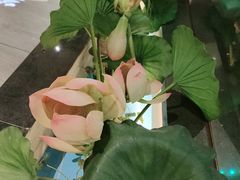 -客家班·客家菜(嘉禾金铂店)