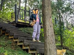 -北京十三陵国家森林公园蟒山景区