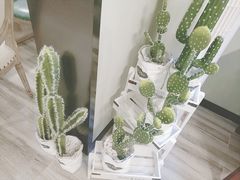 -春风·有糖(崇宁路店)