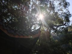 -金鸡山公园