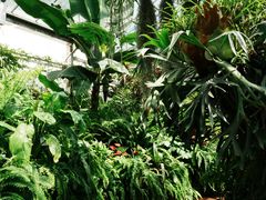 -国家植物园南园