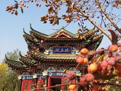 -武清南湖绿博园