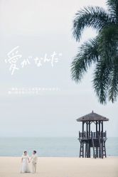 点击看大图 -金夫人婚纱摄影(华南店)