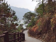 -羚羊峡古栈道森林公园
