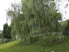 -中国天府农业博览园