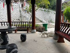-宝通禅寺