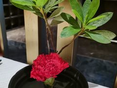 -千百味红餐厅·江西菜(绿地双子塔店)