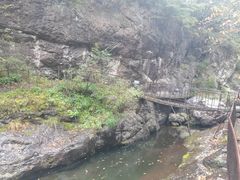 -云岫谷游猎自然风景区