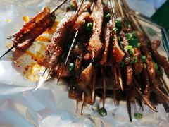 -晓靖轩烧烤(沙河风情店)