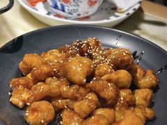 -肥猫(义乌万达店)