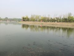 -东郊湿地公园