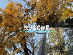 -庆丰包子铺(青龙桥店)