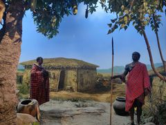 -国家自然博物馆