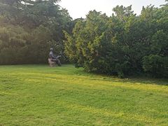 -棒棰岛宾馆景区