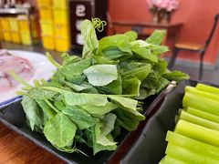 豌豆尖-大理.老字号渝记酸萝卜乌鱼(古城总店)
