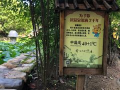 -观唐（国际）度假村温泉