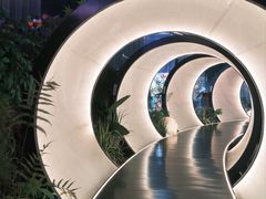 -水之梦(黄浦店)