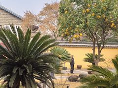 -太平天国侍王府