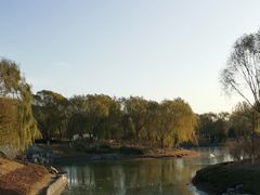 -大兴滨河森林公园