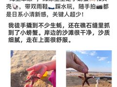 -巧克力渔家.小船海鲜家常菜(万平口店)