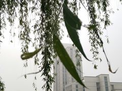 -公益图书馆(江南大学店)