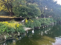 -无锡动物园·太湖欢乐园
