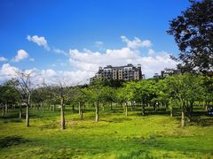 -风云岭森林公园