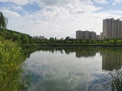 -昆山城市生态森林公园