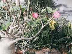 -国家植物园南园