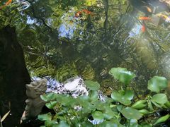 -新竹里馆·花园餐厅(兴苑路店)