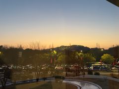 -青藤茶馆(凤起路店)