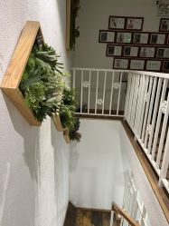 点击看大图 -薇薇安花系SPA