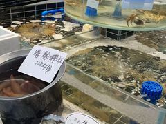 -健跳小海鲜(人民路店)