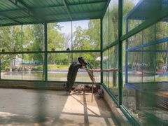 -河北省园博园
